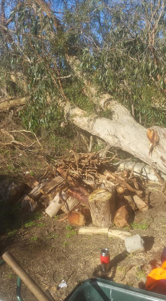 trimming and cuttings