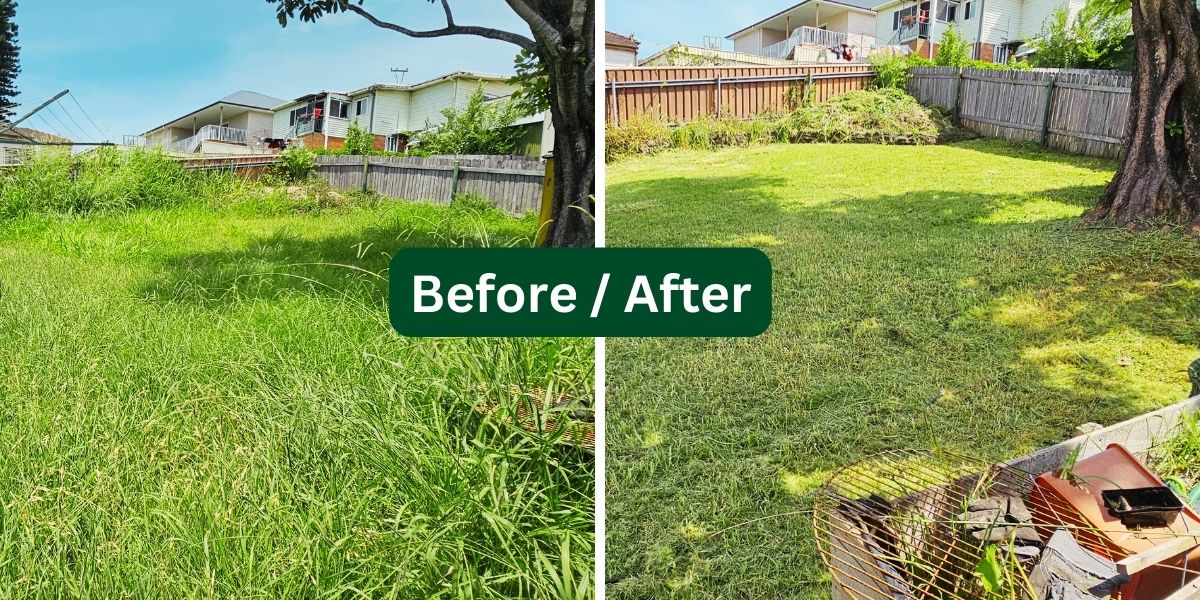 Residential Lawn Maintenance